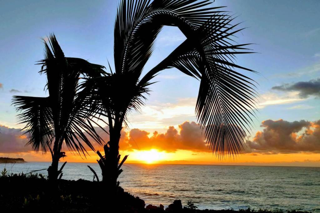 Seaview Paradise Palms&Zen Garden Apt Pahoa Exterior foto