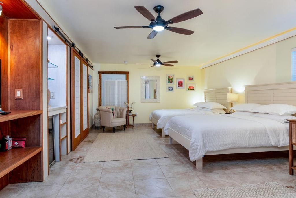 Seaview Paradise Palms&Zen Garden Apt Pahoa Exterior foto